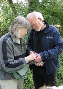 Clarice Clark and Jerry Broadus banding at TAS' Morse Preserve. 