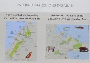 Sabah birding areas of Borneo